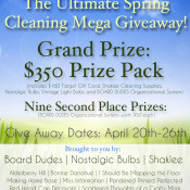 spring_cleaning_FINAL