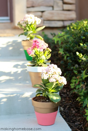 Paint Terra Cotta Flower pots