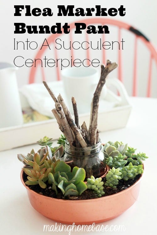 Succulent Centerpiece from a Flea Market Bundt Pan