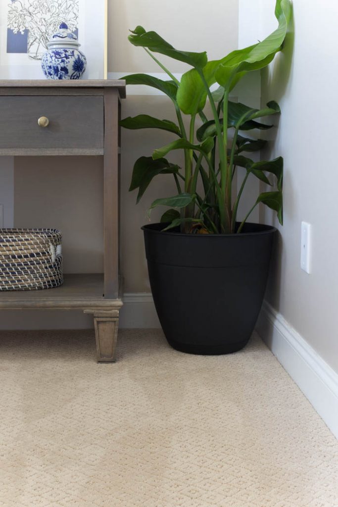 Carpet for Pets The Home Depot Carpet with Petproof Technology