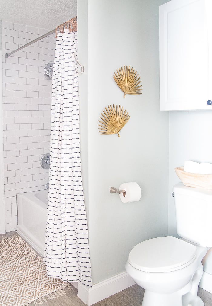 Blue Paint Colors - Sherwin Williams Sea Salt