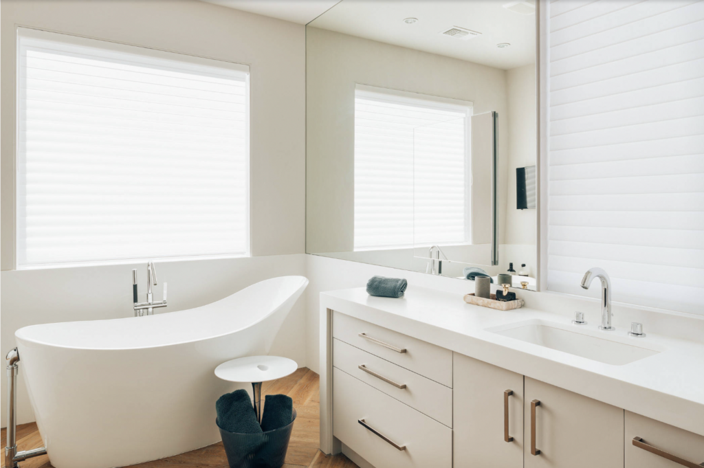 Sherwin Williams Crushed Ice Bathroom
