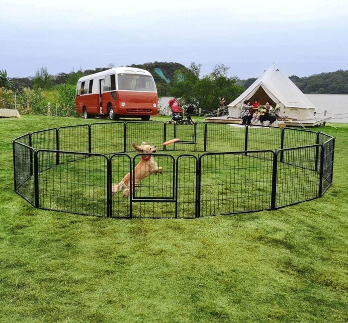 Temporary Dog Fence Ideas
