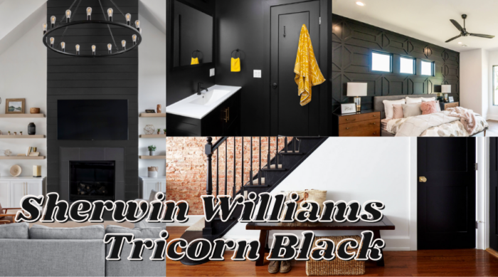 True Black - Sherwin Williams Tricorn Black SW 6258
