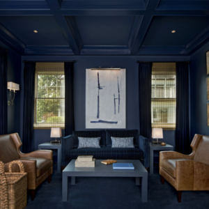 Sherwin Williams Naval SW 6244