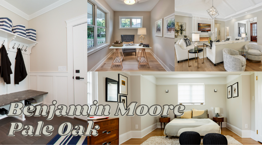 Benjamin Moore Pale Oak