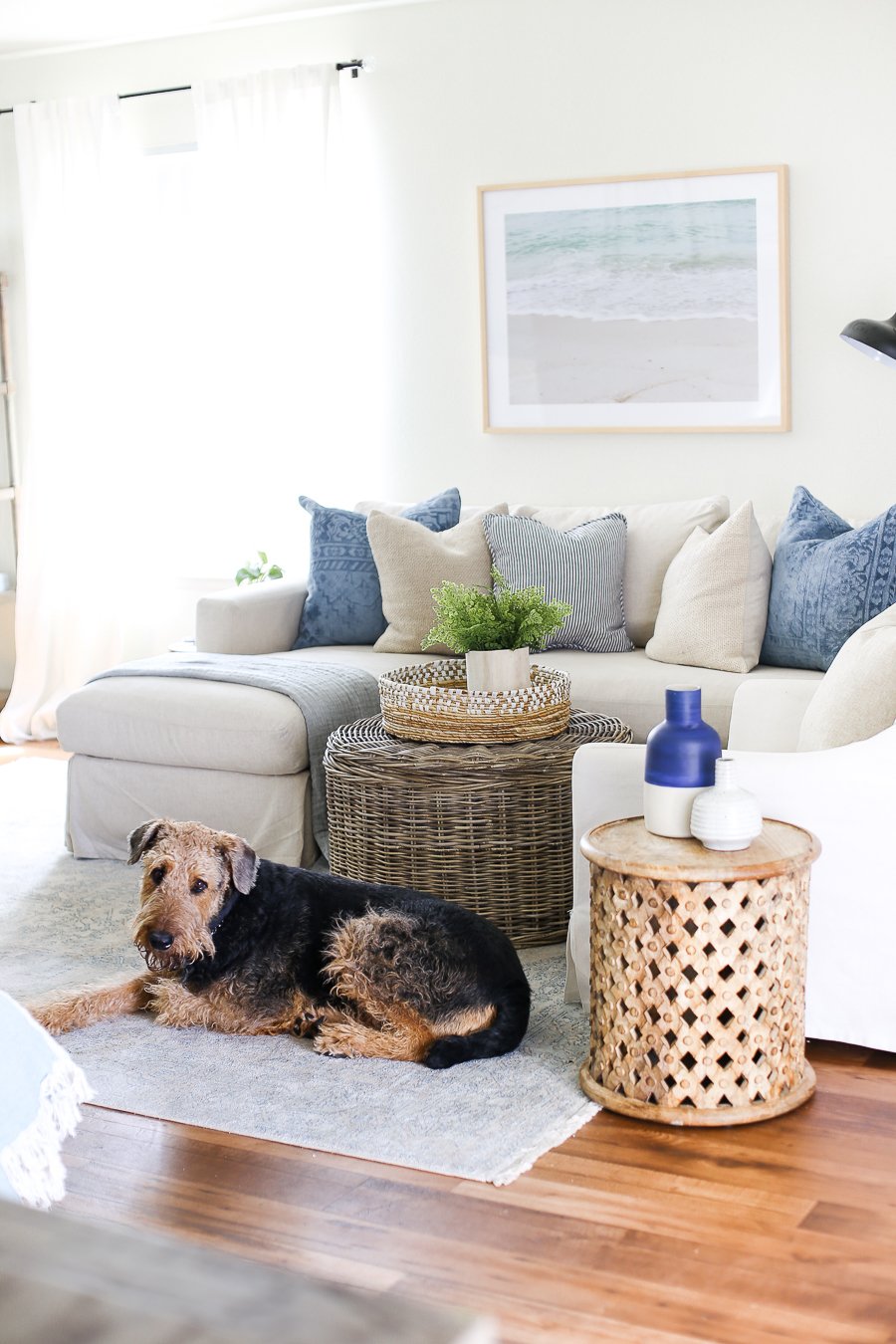 How to Flatten a Rug A Complete Guide