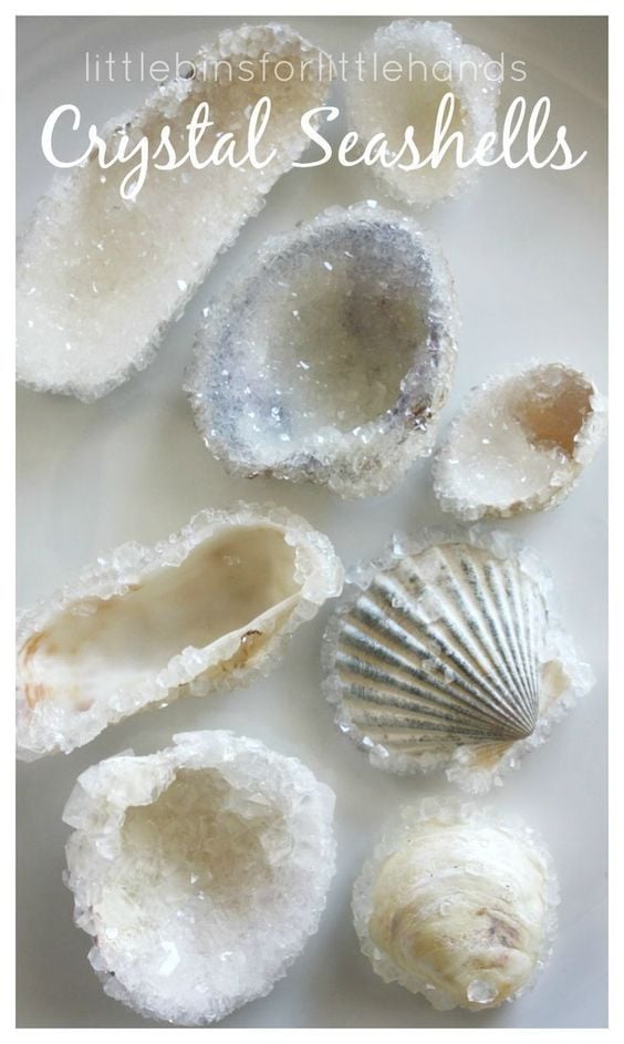 crystal shells craft