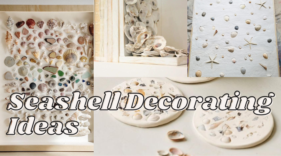 seashell decorating ideas